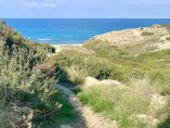 IMG_1685