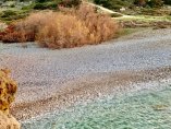 IMG-20250129-WA0005